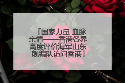 国家力量 血脉亲情——香港各界高度评价海军山东舰编队访问香港