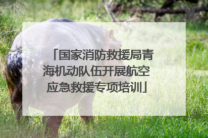 国家消防救援局青海机动队伍开展航空应急救援专项培训