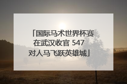 国际马术世界杯赛在武汉收官 547对人马飞跃英雄城