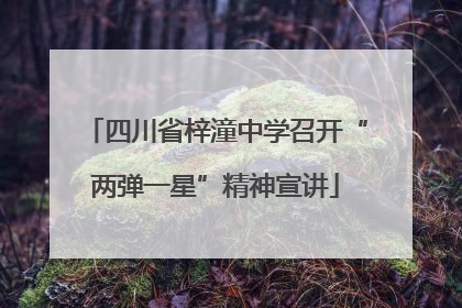 四川省梓潼中学召开“两弹一星”精神宣讲