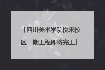 四川美术学院悦来校区一期工程即将完工