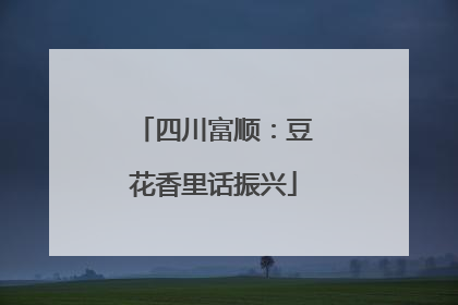 四川富顺：豆花香里话振兴