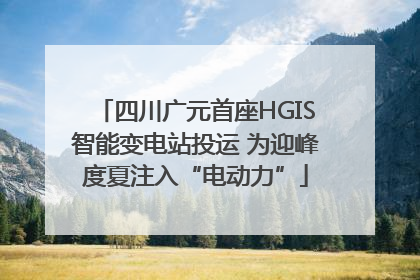 四川广元首座HGIS智能变电站投运 为迎峰度夏注入“电动力”