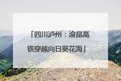四川泸州：渝昆高铁穿越向日葵花海