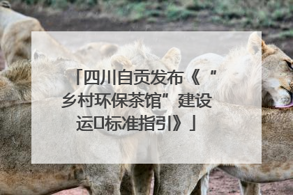 四川自贡发布《“乡村环保茶馆”建设运⾏标准指引》