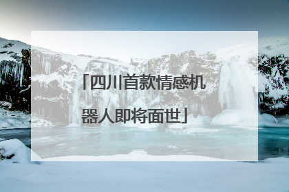 四川首款情感机器人即将面世