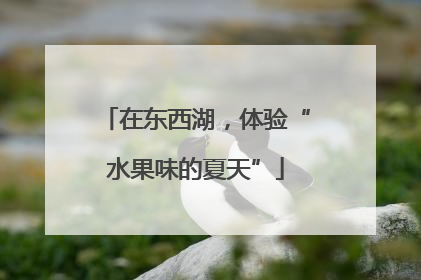 在东西湖，体验“水果味的夏天”