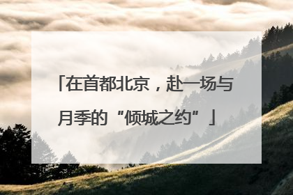 在首都北京，赴一场与月季的“倾城之约”