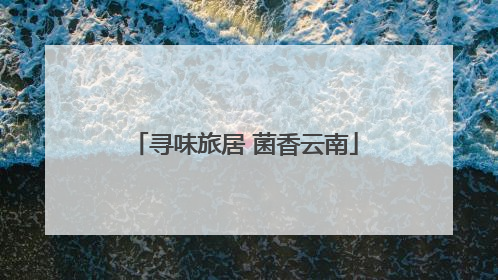 寻味旅居 菌香云南