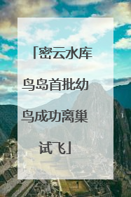 密云水库鸟岛首批幼鸟成功离巢试飞