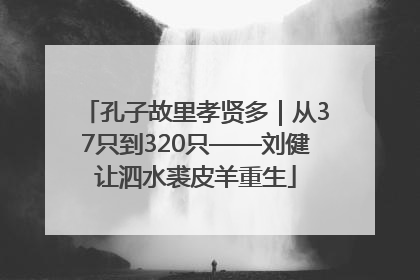 孔子故里孝贤多｜从37只到320只——刘健让泗水裘皮羊重生