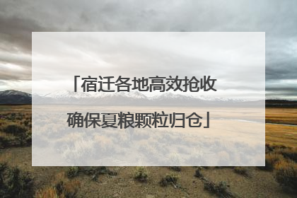 宿迁各地高效抢收 确保夏粮颗粒归仓