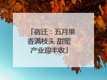 宿迁：五月果香满枝头 甜蜜产业迎丰收