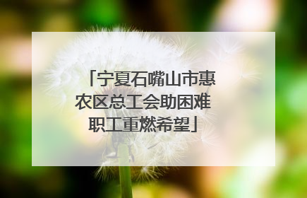 宁夏石嘴山市惠农区总工会助困难职工重燃希望