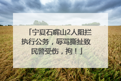 宁夏石嘴山2人阻拦执行公务，辱骂撕扯致民警受伤，拘！