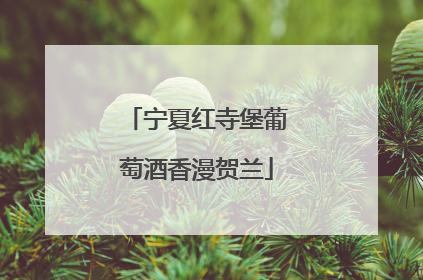 宁夏红寺堡葡萄酒香漫贺兰