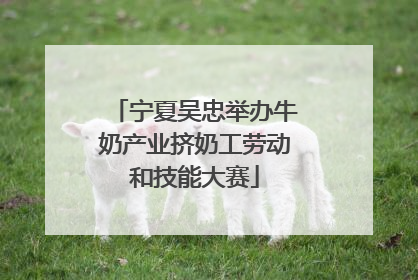 宁夏吴忠举办牛奶产业挤奶工劳动和技能大赛