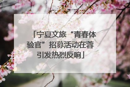 宁夏文旅“青春体验官”招募活动在蓉引发热烈反响
