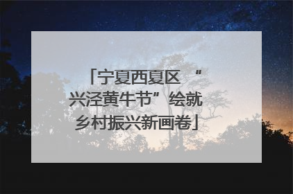 宁夏西夏区 “兴泾黄牛节”绘就乡村振兴新画卷