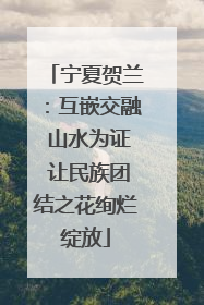 宁夏贺兰：互嵌交融 山水为证 让民族团结之花绚烂绽放