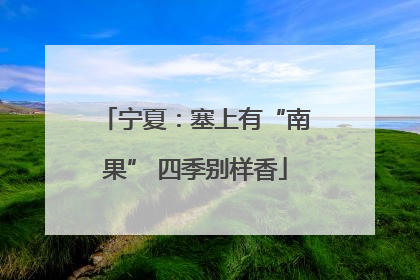 宁夏：塞上有“南果” 四季别样香