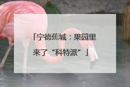 宁德蕉城：果园里来了“科特派”