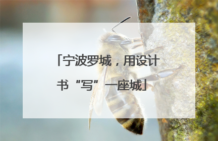 宁波罗城，用设计书“写”一座城