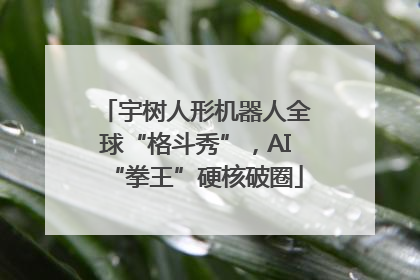 宇树人形机器人全球“格斗秀”，AI“拳王”硬核破圈