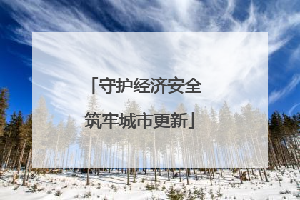 守护经济安全 筑牢城市更新