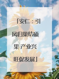 安仁：引凤归巢结硕果 产业兴旺促发展