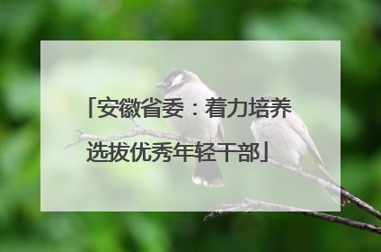 安徽省委：着力培养选拔优秀年轻干部