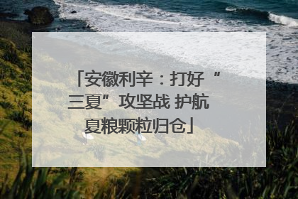 安徽利辛：打好“三夏”攻坚战 护航夏粮颗粒归仓