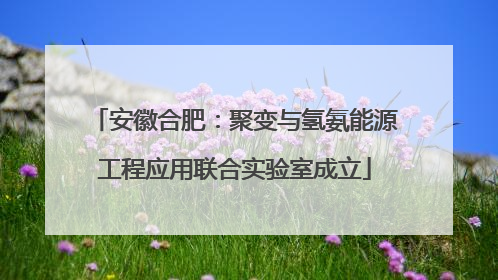 安徽合肥：聚变与氢氨能源工程应用联合实验室成立