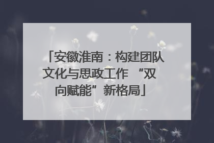 安徽淮南：构建团队文化与思政工作 “双向赋能”新格局