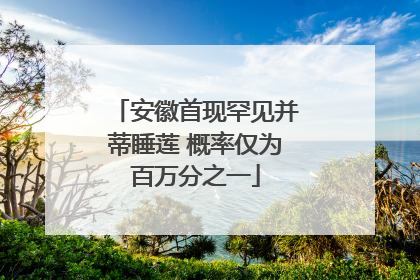 安徽首现罕见并蒂睡莲 概率仅为百万分之一