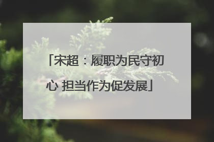宋超：履职为民守初心 担当作为促发展