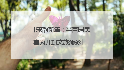 宋韵新篇：半亩园民宿为开封文旅添彩