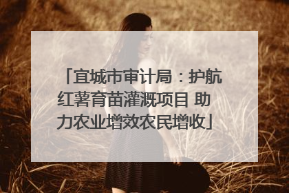 宜城市审计局：护航红薯育苗灌溉项目 助力农业增效农民增收