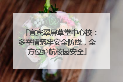 宜宾翠屏草堂中心校：多举措筑牢安全防线，全方位护航校园安全