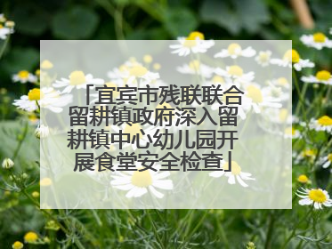 宜宾市残联联合留耕镇政府深入留耕镇中心幼儿园开展食堂安全检查