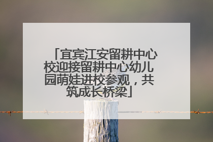 宜宾江安留耕中心校迎接留耕中心幼儿园萌娃进校参观，共筑成长桥梁