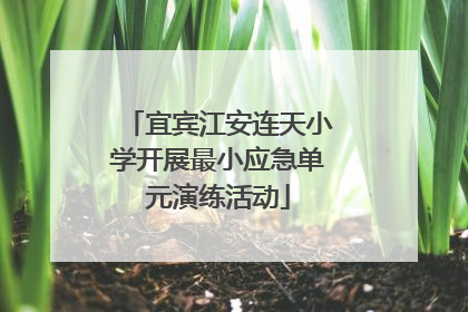 宜宾江安连天小学开展最小应急单元演练活动