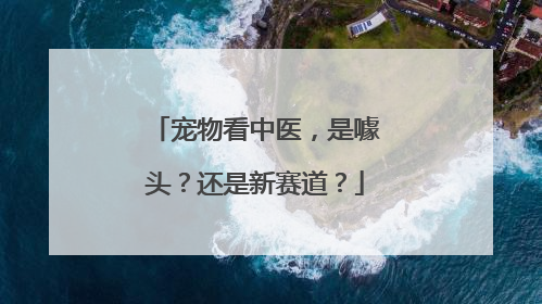 宠物看中医，是噱头？还是新赛道？