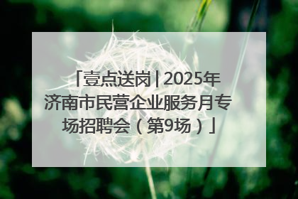 壹点送岗│2025年济南市民营企业服务月专场招聘会（第9场）