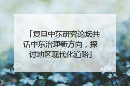 复旦中东研究论坛共话中东治理新方向，探讨地区现代化道路