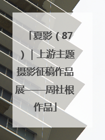 夏影（87）｜上游主题摄影征稿作品展——周社根作品