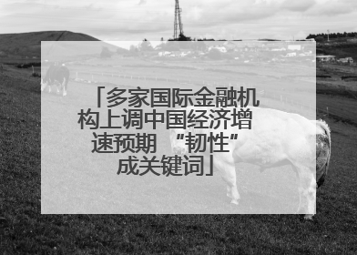 多家国际金融机构上调中国经济增速预期 “韧性”成关键词