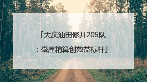 大庆油田修井205队：毫厘精算创效益标杆