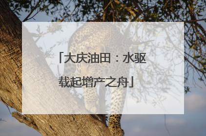 大庆油田：水驱载起增产之舟