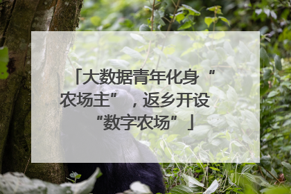 大数据青年化身“农场主”，返乡开设“数字农场”